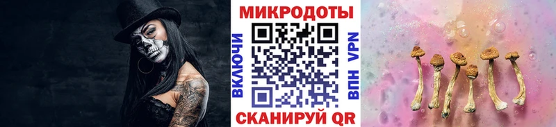 Псилоцибиновые грибы Psilocybe  Фёдоровский 
